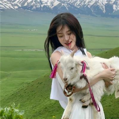 乘龙赘婿