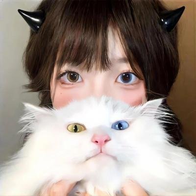 格子间女人