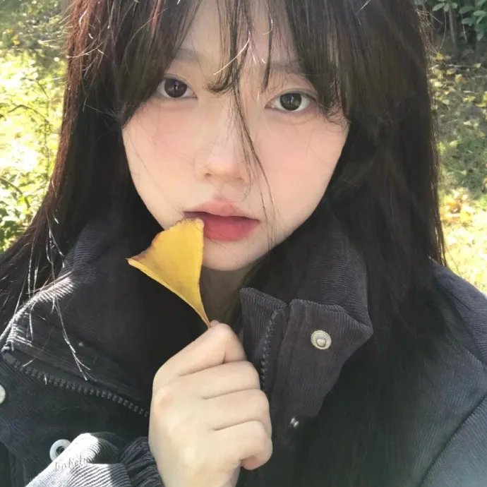 黄水仙的秘密
